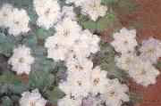 Claude Monet Clematis oil